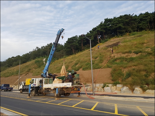 녹생토 PC 이미지 833960