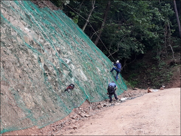 녹생토 PC 이미지 833961