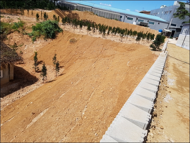 녹생토 PC 이미지 833965