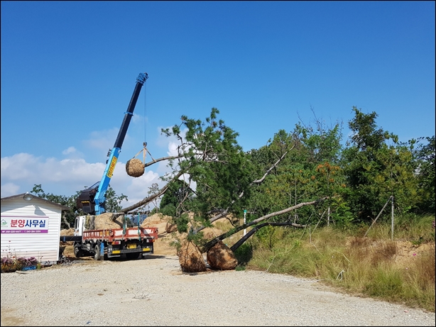 녹생토 PC 이미지 833966