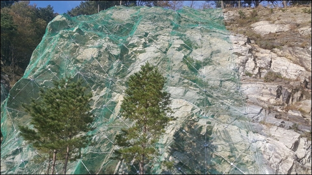 녹생토 PC 이미지 833967