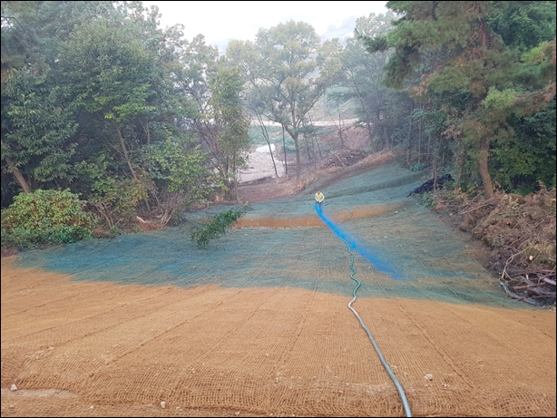 녹생토 PC 이미지 833958