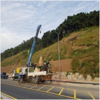 녹생토 PC 갤러리 15