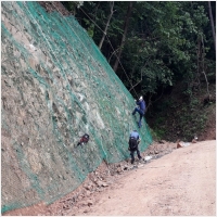 녹생토 PC 갤러리 14