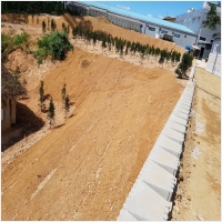 녹생토 PC 갤러리 10