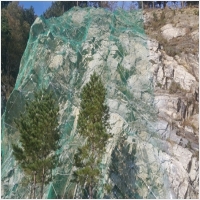 녹생토 PC 갤러리 8