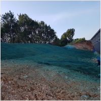 녹생토 PC 갤러리 18