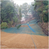 녹생토 PC 갤러리 17