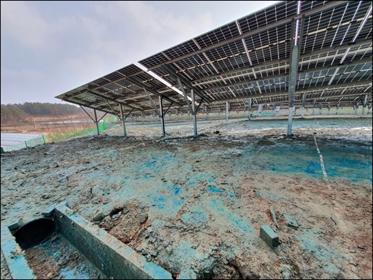 녹생토 PC 이미지 1572897