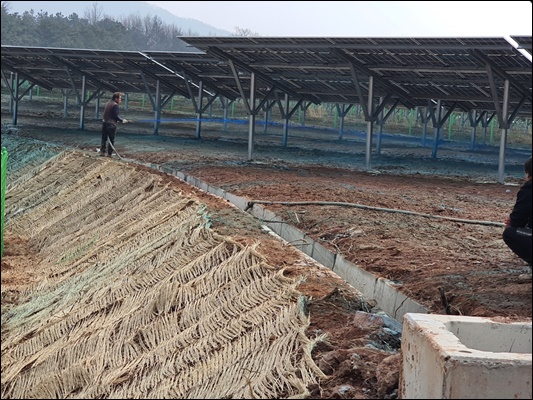 녹생토 PC 이미지 1572898