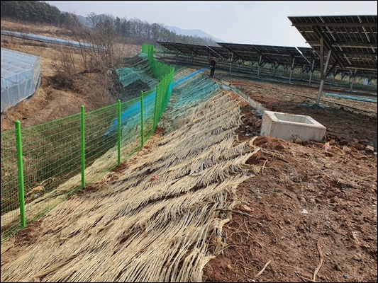 녹생토 PC 이미지 1572899