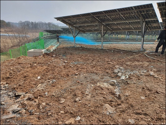 녹생토 PC 이미지 1572900