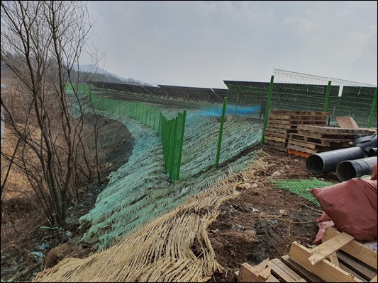 녹생토 PC 이미지 1572901