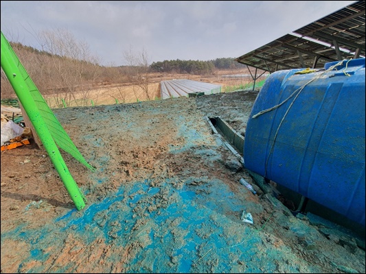 녹생토 PC 이미지 1572903