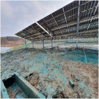 녹생토 PC 갤러리 6