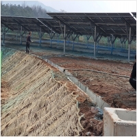 녹생토 PC 갤러리 5