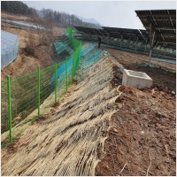 녹생토 PC 갤러리 4