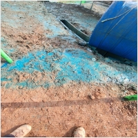 녹생토 PC 갤러리 1