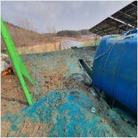 녹생토 PC 갤러리 0